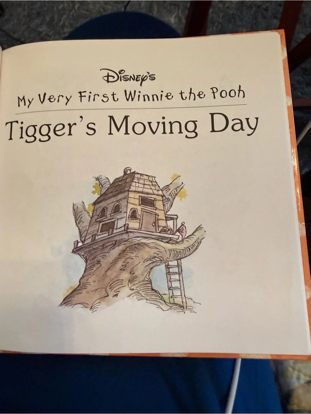 Children’s Hardcover Book Winnie the Pooh: Tigger's Moving Day
